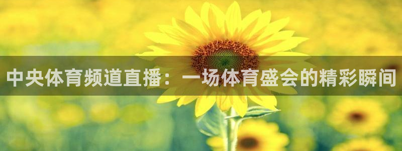 中央体育频道直播：一场体育盛会的精彩瞬间