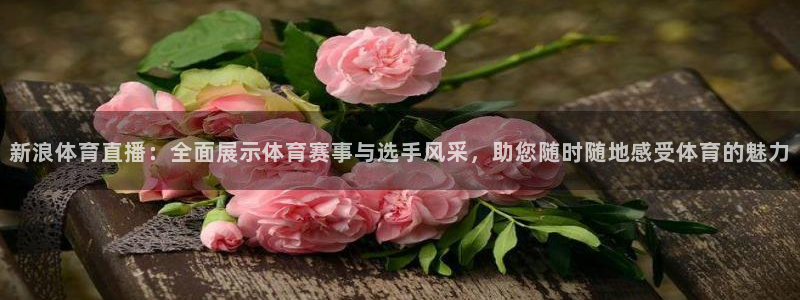 新浪体育直播：全面展示体育赛事与选手风采，助您随时随地感受体育的魅力