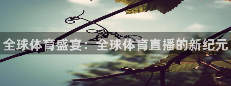 全球体育盛宴：全球体育直播的新纪元