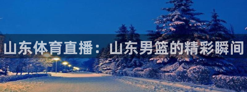 山东体育直播：山东男篮的精彩瞬间